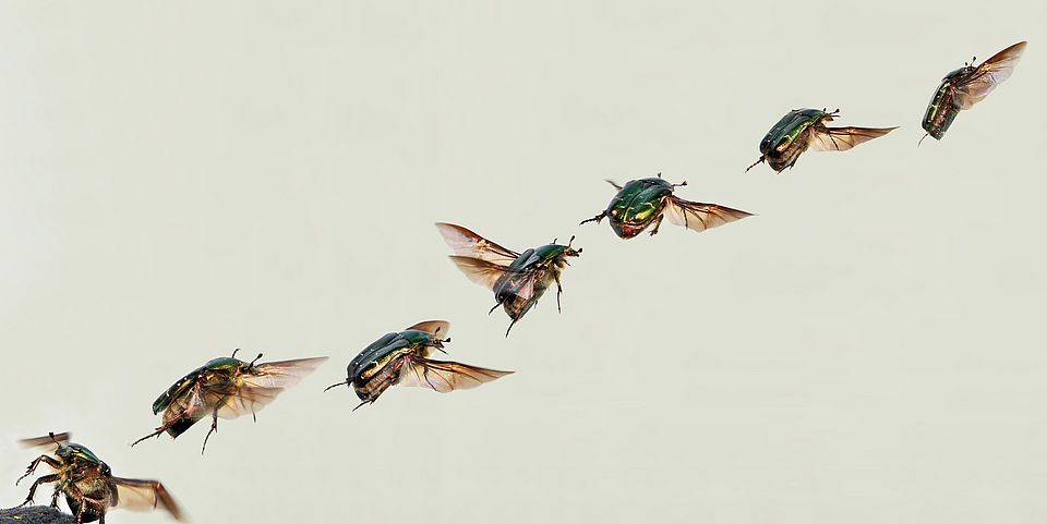 takeoff