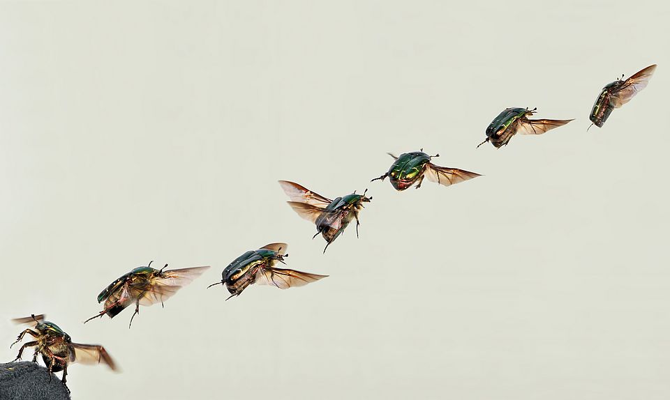 takeoff