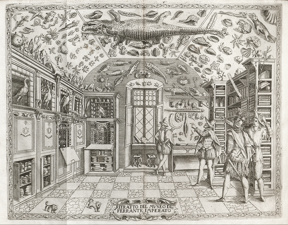 EisenbibliothekParadies